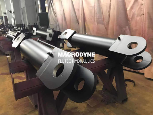 China Hot Sale ISO 6022 Standard Hydraulic Cylinders for Ship Crane